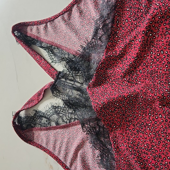 Daytrip - Picture 6 of 6